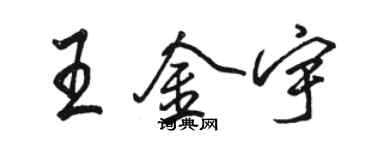 駱恆光王金宇行書個性簽名怎么寫
