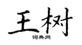 丁謙王樹楷書個性簽名怎么寫