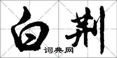 胡問遂白荊行書怎么寫