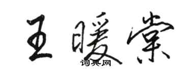 駱恆光王暖棠行書個性簽名怎么寫