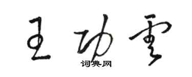 駱恆光王功雲草書個性簽名怎么寫