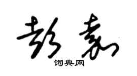 朱錫榮彭嘉草書個性簽名怎么寫