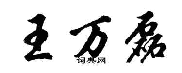 胡問遂王萬磊行書個性簽名怎么寫