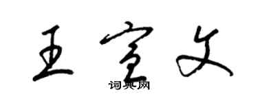 梁錦英王宣文草書個性簽名怎么寫