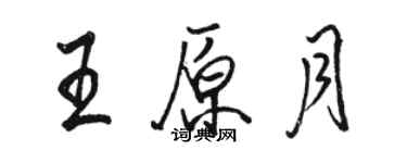 駱恆光王原月行書個性簽名怎么寫