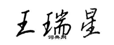 王正良王瑞星行書個性簽名怎么寫