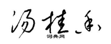 梁錦英湯桂香草書個性簽名怎么寫