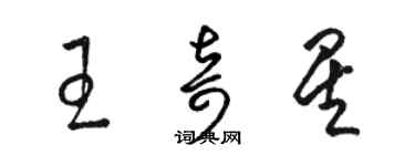 駱恆光王奇星草書個性簽名怎么寫