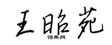王正良王昭苑行書個性簽名怎么寫