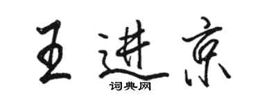 駱恆光王進京行書個性簽名怎么寫