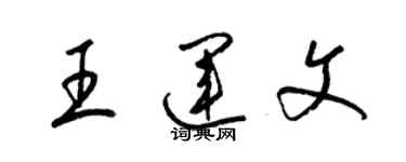 梁錦英王運文草書個性簽名怎么寫