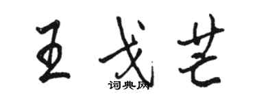 駱恆光王戈芒行書個性簽名怎么寫