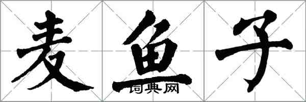 翁闓運麥魚子楷書怎么寫