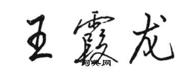 駱恆光王霞龍行書個性簽名怎么寫