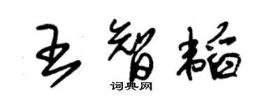 朱錫榮王智韜草書個性簽名怎么寫