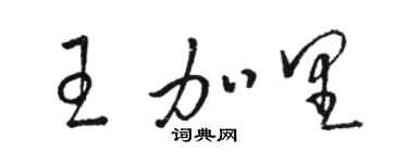 駱恆光王加里草書個性簽名怎么寫