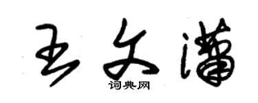 朱錫榮王文瀟草書個性簽名怎么寫