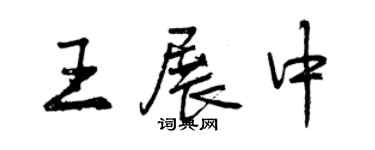 曾慶福王展中行書個性簽名怎么寫