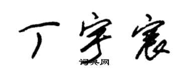 朱錫榮丁宇宸草書個性簽名怎么寫