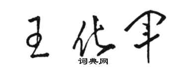 駱恆光王化軍草書個性簽名怎么寫