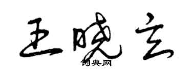 曾慶福王曉玄草書個性簽名怎么寫