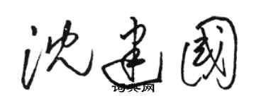 駱恆光沈建國草書個性簽名怎么寫