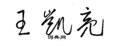 駱恆光王凱亮草書個性簽名怎么寫