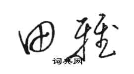 駱恆光田雅草書個性簽名怎么寫