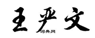 胡問遂王嚴文行書個性簽名怎么寫