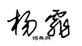 朱錫榮楊霏草書個性簽名怎么寫