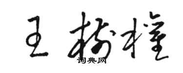 駱恆光王樹權草書個性簽名怎么寫