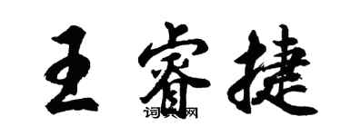 胡問遂王睿捷行書個性簽名怎么寫