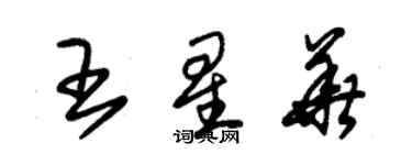 朱錫榮王星華草書個性簽名怎么寫