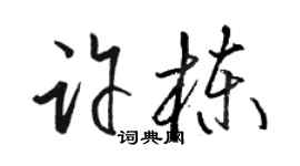 駱恆光許棟草書個性簽名怎么寫