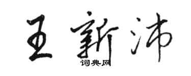 駱恆光王新沛行書個性簽名怎么寫