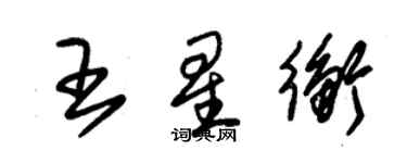 朱錫榮王星衡草書個性簽名怎么寫