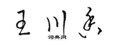 駱恆光王川香草書個性簽名怎么寫