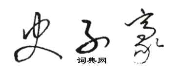 駱恆光史子豪草書個性簽名怎么寫