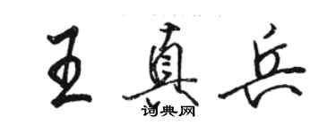 駱恆光王真兵行書個性簽名怎么寫