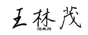 王正良王林茂行書個性簽名怎么寫