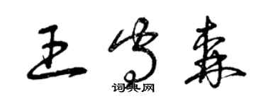 曾慶福王守森草書個性簽名怎么寫