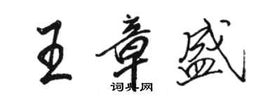 駱恆光王章盛行書個性簽名怎么寫