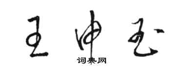 駱恆光王申玉草書個性簽名怎么寫