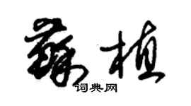 朱錫榮蘇植草書個性簽名怎么寫