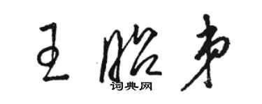 駱恆光王昭弟草書個性簽名怎么寫