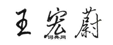 駱恆光王宏蔚行書個性簽名怎么寫