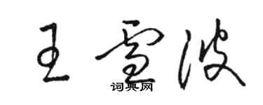 駱恆光王雪波草書個性簽名怎么寫