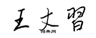 王正良王丈習行書個性簽名怎么寫