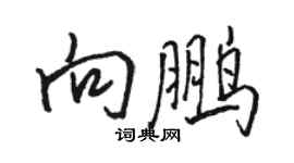 駱恆光向鵬行書個性簽名怎么寫