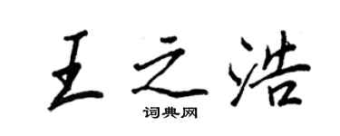 王正良王之浩行書個性簽名怎么寫